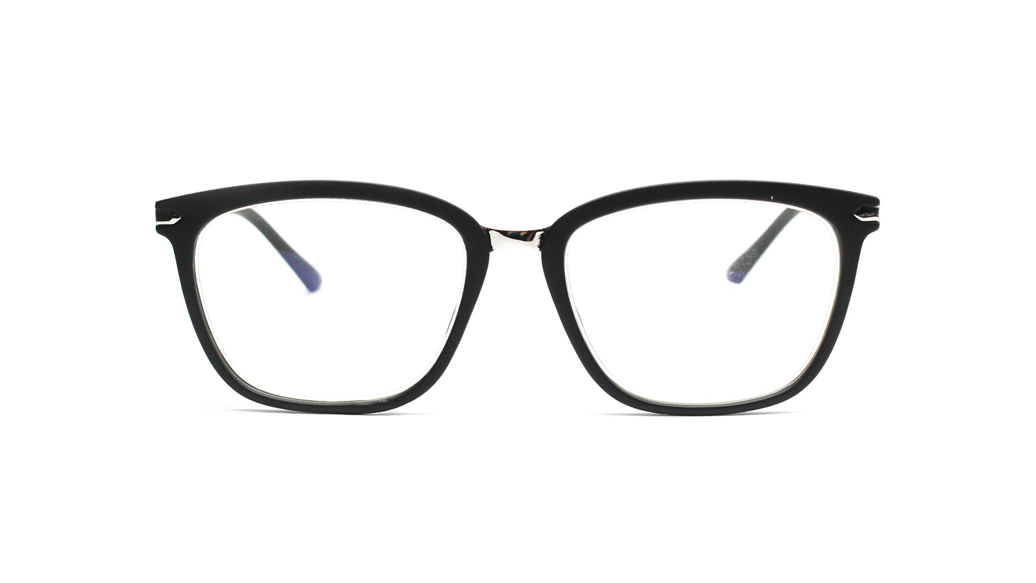 Оправы (очки для зрения) Компьютерные очки RALPH RP8112