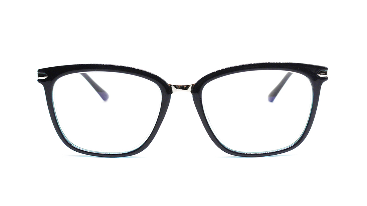 Оправы (очки для зрения) Компьютерные очки RALPH RP8112